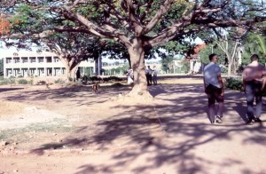 1968 Bangalore Lowry Mem HS
