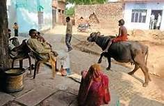 Indian Village Scene