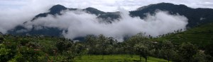 Nilgiri Hills TN