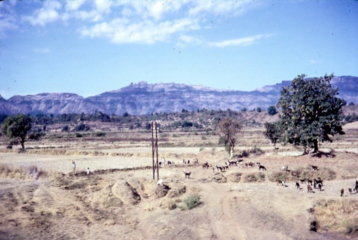1968 Pune District Farmlands_edited